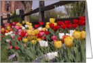 Happy Easter to Wife - Colorful Tulip Garden card