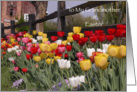 Happy Easter to Grandmother - Colorful Tulip Garden card
