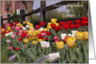 Happy Easter Across the Miles - Verse - Tulip Garden card