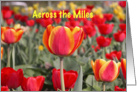 Happy Easter - Across the Miles - Red and Yellow Tulip Garden card