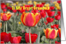 Happy Easter To My Great Grandma - Red and Yellow Tulip Garden card