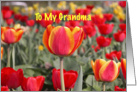 Happy Easter To My Grandma - Red and Yellow Tulip Garden card