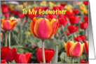 Happy Easter To My Godmother - Red and Yellow Tulip Garden card