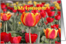 Happy Easter To my Goddaughter - Red and Yellow Tulip Garden card