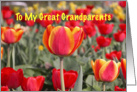 Happy Easter To my Great Grandparents - Red and Yellow Tulip Garden card