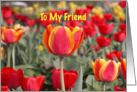 Happy Easter To My Friend - Red and Yellow Tulip Garden card