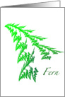 Happy Spring - Green Fern Frond card