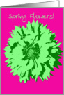 Happy Spring - Green Pop Art Flower on Pink card