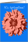 Happy Spring - Pop Art Flower on Blue card