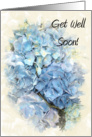 Get Well Soon - Blue Hydrangea Flower card