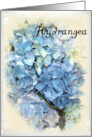 Blank Note Cards - Blue Hydrangea Flower card