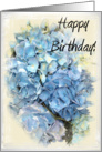 Happy Birthday - Blue Hydrangea Flower card