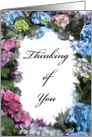 Thinking of You - Hydrangea card