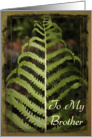 Happy Father’s Day - To My Brother - Green Fern Frond card