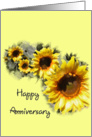 Happy Anniversary - Sunflowers in a Row card