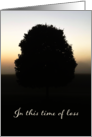 Solitary Tree Time of Loss Sympathy card