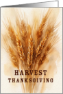 Rustic Harvest Thanksgiving card