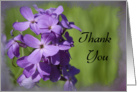 Thank You - Purple Wildflowers card