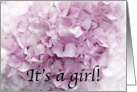 It’s A Girl Birth Announcement - Pink Hydrangea Flower card