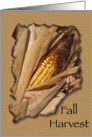 Thanksgiving / Fall Harvest Dinner Invitation card