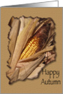 Happy Autumn - Dried Corn card