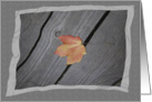 Single Fall Leaf Blank Note Card