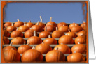 Orange Pumpkins in a Row - Blank Note Card