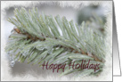 Happy Holidays - Icy Pine card