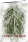 Season’s Greetings - Icy Pine Branch card