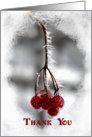 Thank You - Frosty Red Berries card