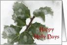 Happy Holly Days - Christmas Card