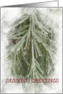 Icy Pines Season’s Greetings - Thank You for Your Business card