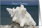 Season’s Greetings From the Beach Conch Shell card
