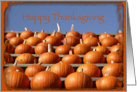 Thanksgiving Dinner Invitation - Orange Autumn Pumpkins card