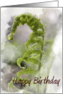 Happy Birthday - Green Fern Frond card