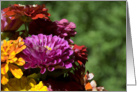 Blank Note Card - Colorful Zinnia Flower Bouquet card