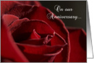 Wedding Anniversary - Red Rose Flower card