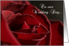 On Our Wedding Day - Red Rose Flower card
