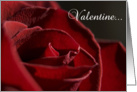 Valentine’s Day - Red Rose Flower card