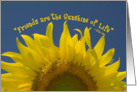 Friendship - Yellow Sunflower card