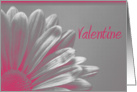 Valentine’s Day - Pink Silver Daisy card