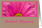 Bridal Shower Invitation - Pink Daisy Flower card