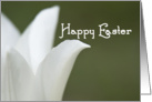 Happy Easter - White Tulip card