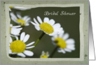 Bridal Shower Invitation - White Daisies card