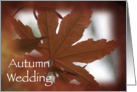 Autumn Wedding Save the Date Japanese Maple Leaves card