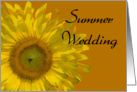 Yellow Sunflower on Orange Summer Wedding Save the Date Announcement card