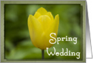 Spring Wedding Announcement - Yellow Tulip card