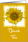 Thank You - Yellow Sunflower card