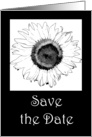 Wedding Save the Date Announcement - Black and White Sunflower card
