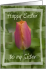 Happy Easter to My Sister - Pink Tulip Flower card